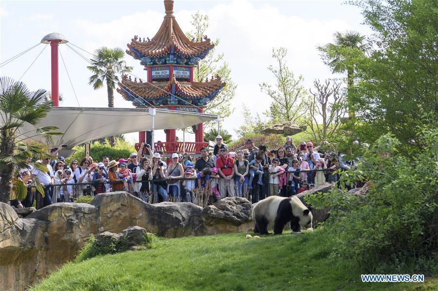 Visitors watch the male giant panda \