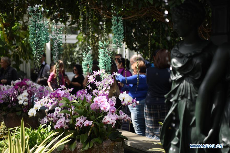 People visit the Orchid Show at New York Botanical Garden (NYBG) in New York, the United States, March 24, 2019. The Orchid Show themed Singapore showcases treasures from NYBG\'s exquisite orchid collection as well as Singapore\'s achievements in orchid cultivation, research and conservation. (Xinhua/Han Fang)