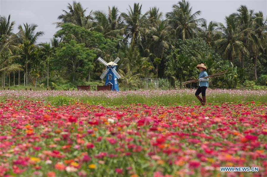 A farmer walks in a garden of Nanqiang Village, Boao Town, Qionghai City of south China\'s Hainan Province, March 25, 2019. Qionghai City has quickened its steps towards the construction of \