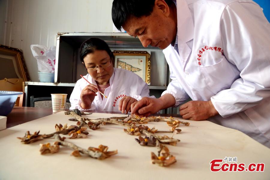 Wang Zhongxiang uses discarded jade fragments to make handicrafts in Qilian County, Northwest China\'s Qinghai Province, March 28, 2019. The 55-year-old folk artist is known for his ability to turn the waste into valuable works of art often through time-consuming processes, such as polishing, painting and pasting. (Photo: China News Service/Ma Mingyan)