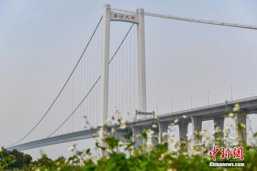 Photo taken on April 2, 2019 shows the Humen second Bridge (Nansha Bridge) in Dongguan, South China\'s Guangdong Province.  (Photo/China News Service)