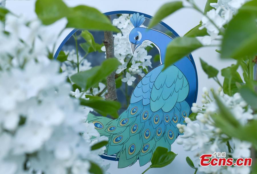 Ni Wenbing has painted birds, plants and flowers on A4 paper with artistic cuts in the middle to bring the beauty of the outdoors into an image through silhouettes. (Photo: China News Service/Zhai Lu and Li Jun)