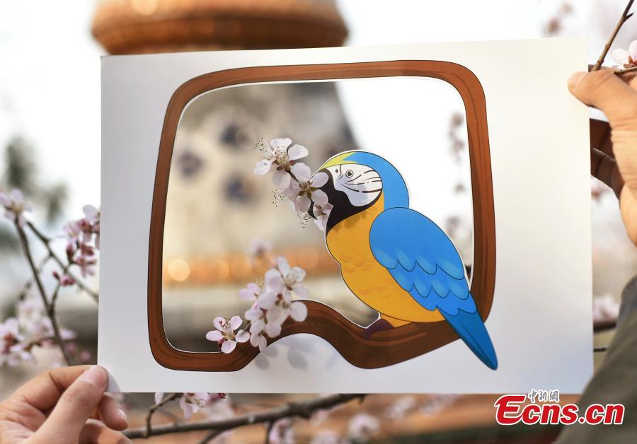 Ni Wenbing has painted birds, plants and flowers on A4 paper with artistic cuts in the middle to bring the beauty of the outdoors into an image through silhouettes. (Photo: China News Service/Zhai Lu and Li Jun)