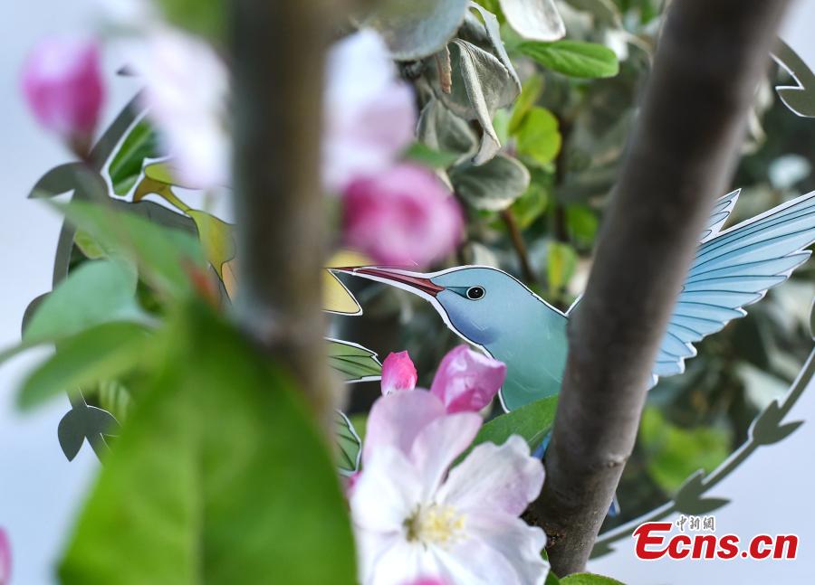 Ni Wenbing has painted birds, plants and flowers on A4 paper with artistic cuts in the middle to bring the beauty of the outdoors into an image through silhouettes. (Photo: China News Service/Zhai Lu and Li Jun)