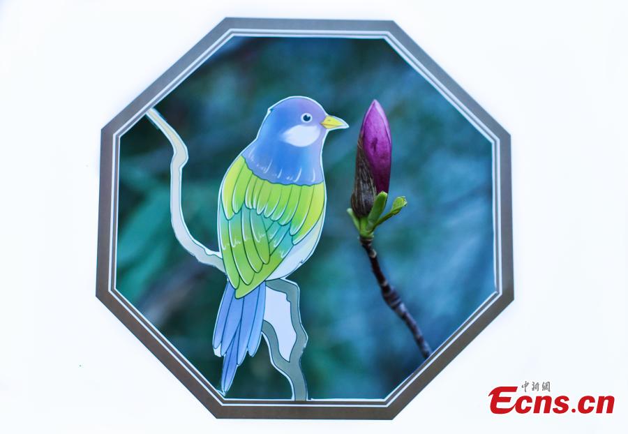 Ni Wenbing has painted birds, plants and flowers on A4 paper with artistic cuts in the middle to bring the beauty of the outdoors into an image through silhouettes. (Photo: China News Service/Zhai Lu and Li Jun)