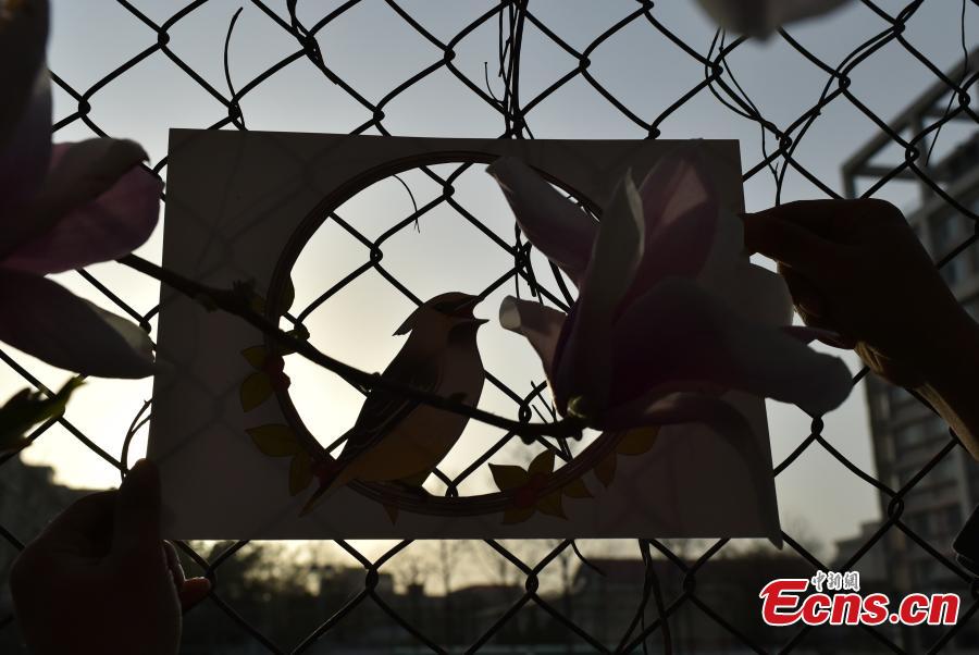 Ni Wenbing has painted birds, plants and flowers on A4 paper with artistic cuts in the middle to bring the beauty of the outdoors into an image through silhouettes. (Photo: China News Service/Zhai Lu and Li Jun)