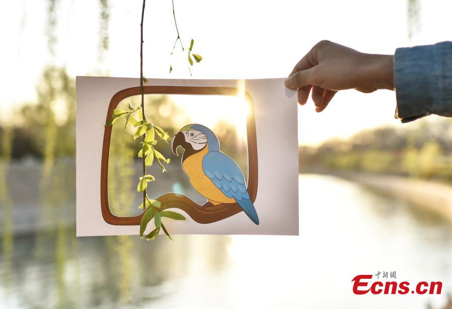 Ni Wenbing has painted birds, plants and flowers on A4 paper with artistic cuts in the middle to bring the beauty of the outdoors into an image through silhouettes. (Photo: China News Service/Zhai Lu and Li Jun)