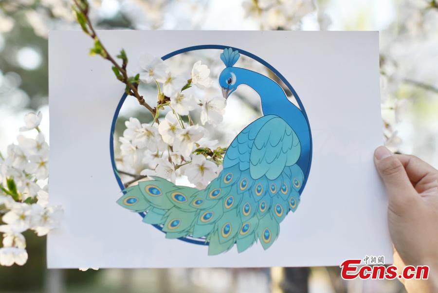 Ni Wenbing has painted birds, plants and flowers on A4 paper with artistic cuts in the middle to bring the beauty of the outdoors into an image through silhouettes. (Photo: China News Service/Zhai Lu and Li Jun)