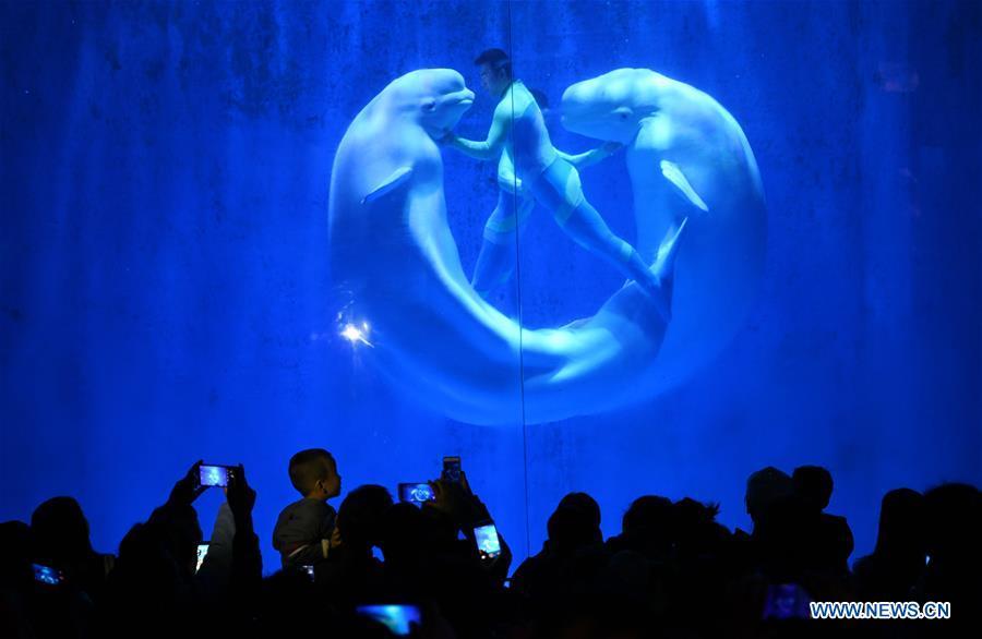 Children with Autism Spectrum Disorder (ASD) watch a white whale performance with their parents at the Polarland in Harbin, capital of northeast China\'s Heilongjiang Province, April 2, 2019, the World Autism Awareness Day. World Autism Awareness Day on April 2 every year is designated to encourage member states of the United Nations to take measures to raise awareness about people with ASD throughout the world. (Xinhua/Wang Jianwei)