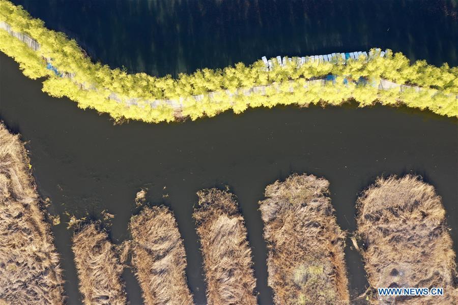 Aerial photo taken on March 31, 2019 shows the Baiyangdian Lake in Xiongan New Area, north China\'s Hebei Province. On April 1, 2017, China announced plans to establish the Xiongan New Area, about 100 km southwest of Beijing. Known as China\'s \