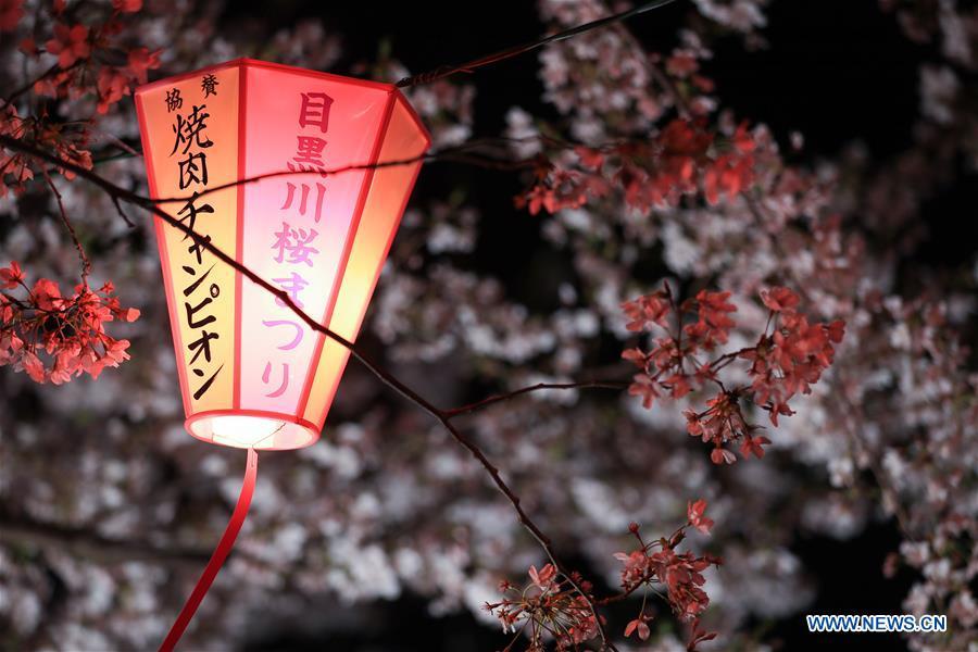<?php echo strip_tags(addslashes(Photo taken on April 3, 2019 shows the cherry blossom on bank of Meguro river, in Tokyo, Japan. (Xinhua/Du Xiaoyi))) ?>