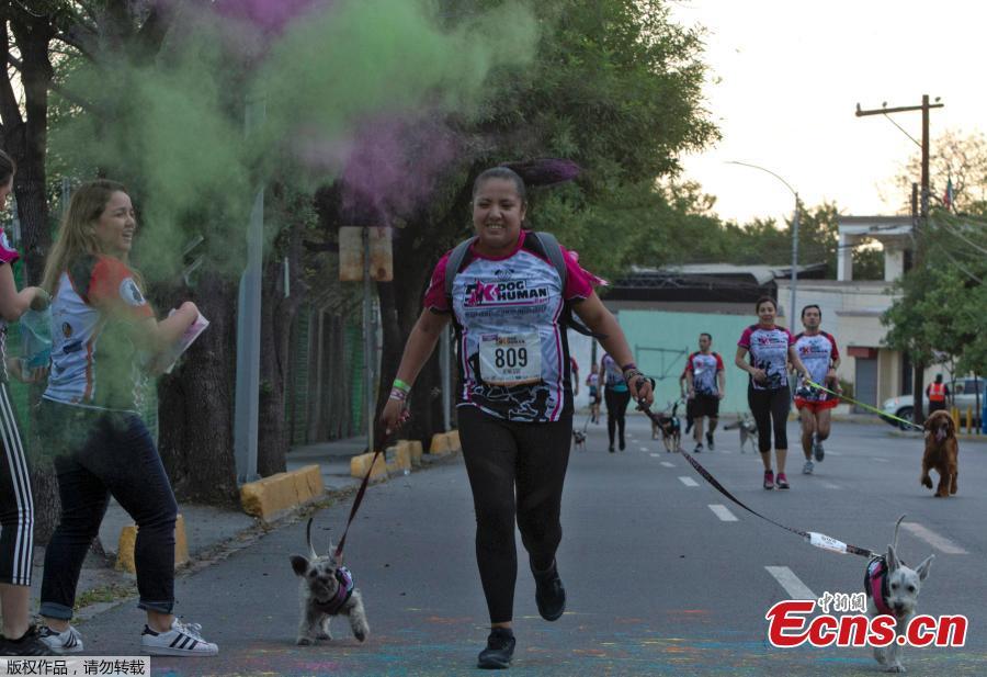 People and their dogs run during the Dog & Human Race Monterrey 2019, in order to foster coexistence with pets in Monterrey, Mexico, on April 7, 2019. (Photo/Agencies)