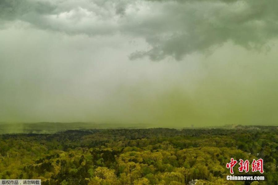 <?php echo strip_tags(addslashes(A cloud of light yellow pollen can be seen drifting out of a wooded area near Durham, North Carolina, April 8, 2019. (Photo/Agencies))) ?>