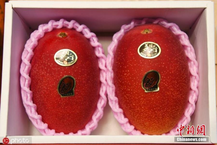 A pair of premium mangoes from the southwestern Japan prefecture of Miyazaki fetched a record 500,000 yen ($4,488) in the season\'s first auction at a local wholesale market April 8, 2019, topping the previous best of 400,000 yen. The premium mangoes are called \
