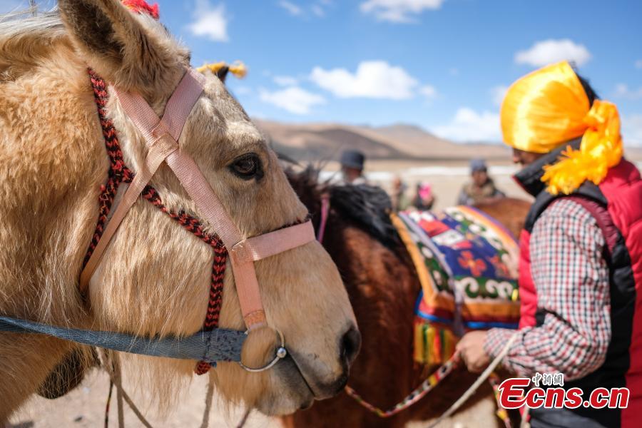 <?php echo strip_tags(addslashes(A horse race in Qianggu Village in Ngari Prefecture, Southwest China's Tibet Autonomous Region, April 9, 2019. The per capita income of the village reached 14,000 yuan ($2,086) in 2017 and locals all live above the poverty line. (Photo: China News Service/He Penglei))) ?>