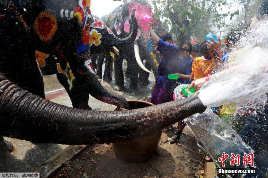 <?php echo strip_tags(addslashes(Revellers and elephants splash water at each other during a ceremony to celebrate the Buddhist New Year, locally known as Songkran, in Ayutthaya on April 11, 2019. (Photo/Agencies))) ?>