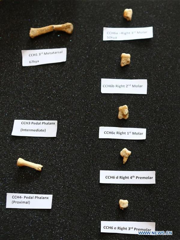 <?php echo strip_tags(addslashes(The set of fossils of a newly discovered human species called Homo luzonensis is seen at the University of the Philippines in Quezon City, the Philippines, April 11, 2019. Found in Callao Cave on Luzon Island, the 50,000-year-old remains belong to a now extinct species of human. (Xinhua/Rouelle Umali))) ?>