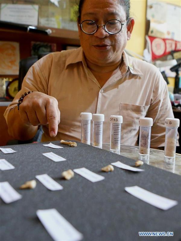<?php echo strip_tags(addslashes(Filipino archeologist Armand Mijares shows the set of fossils of a newly discovered human species called Homo luzonensis at the University of the Philippines in Quezon City, the Philippines, April 11, 2019. Found in Callao Cave on Luzon Island, the 50,000-year-old remains belong to a now extinct species of human. (Xinhua/Rouelle Umali))) ?>
