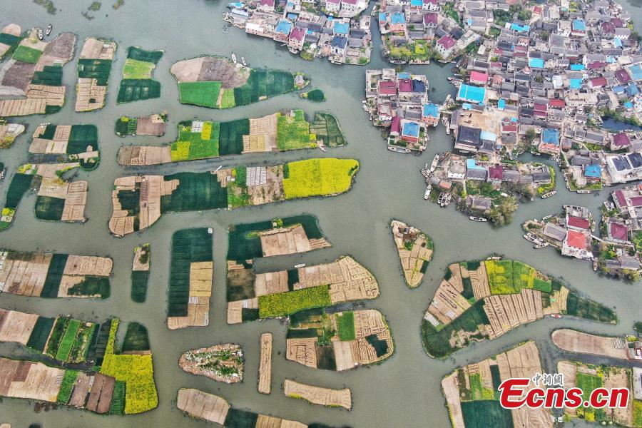 An aerial view of colorful fields crisscrossed by water in a rural area in Xinghua City, East China\'s Jiangsu Province, April 10, 2019. Locals have a tradition of digging mud from trenches or small rivers to form small plots of land. (Photo: China News Service/Yang Bo)