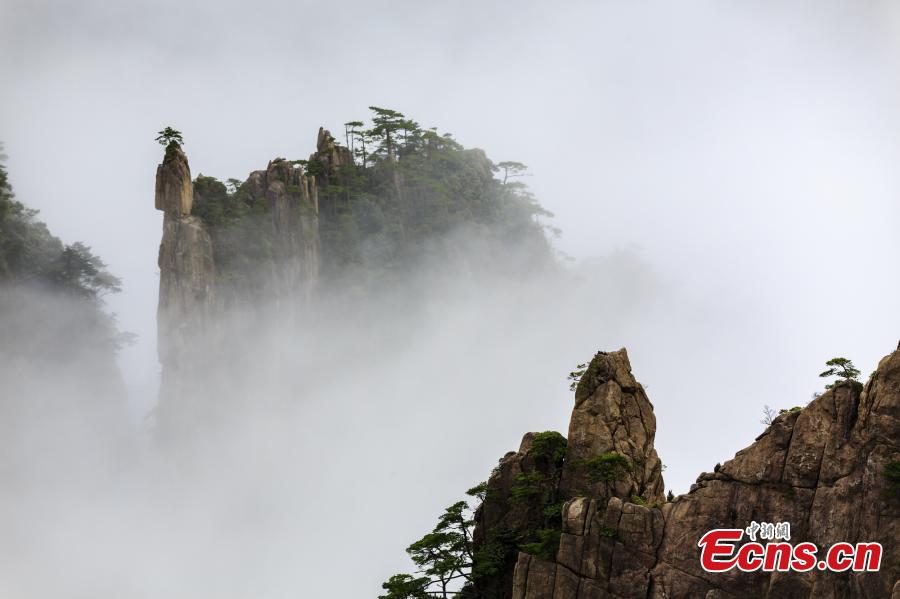 After rain, clouds surround the Xihai Grand Canyon, a sight-seeing spot on Mount Huang in Anhui Province, April 11, 2019. The mountain is a UNESCO World Heritage site, and one of China\'s major tourist destinations. (Photo: China News Service/Ye Yongqing)