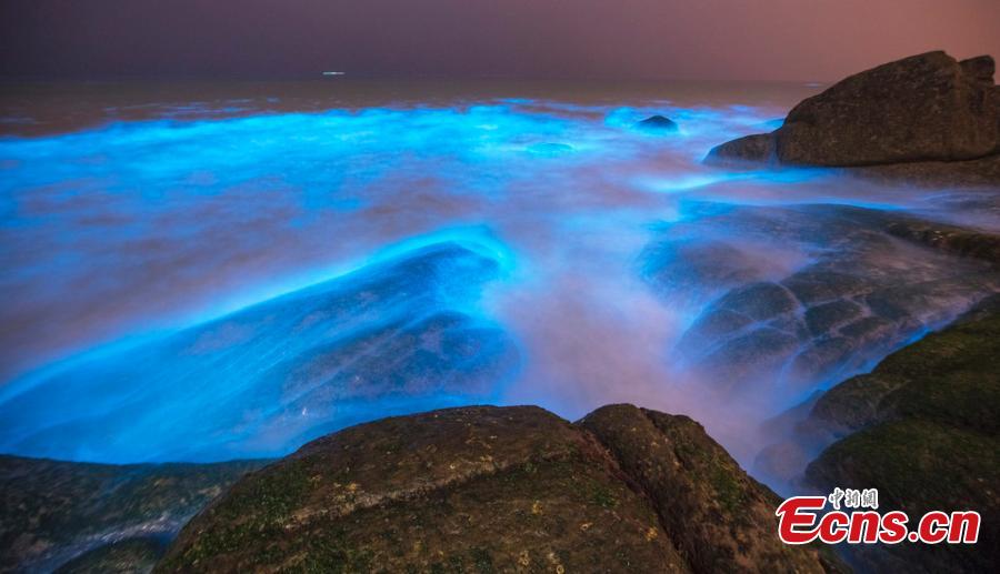 <?php echo strip_tags(addslashes(Image taken on April 14, 2019 shows a striking blue algae bloom near Changle Airport in Fuzhou City, Fujian Province. The fluorescent blue glow is natural, powered by a bloom of Noctiluca scintillans, commonly known as 