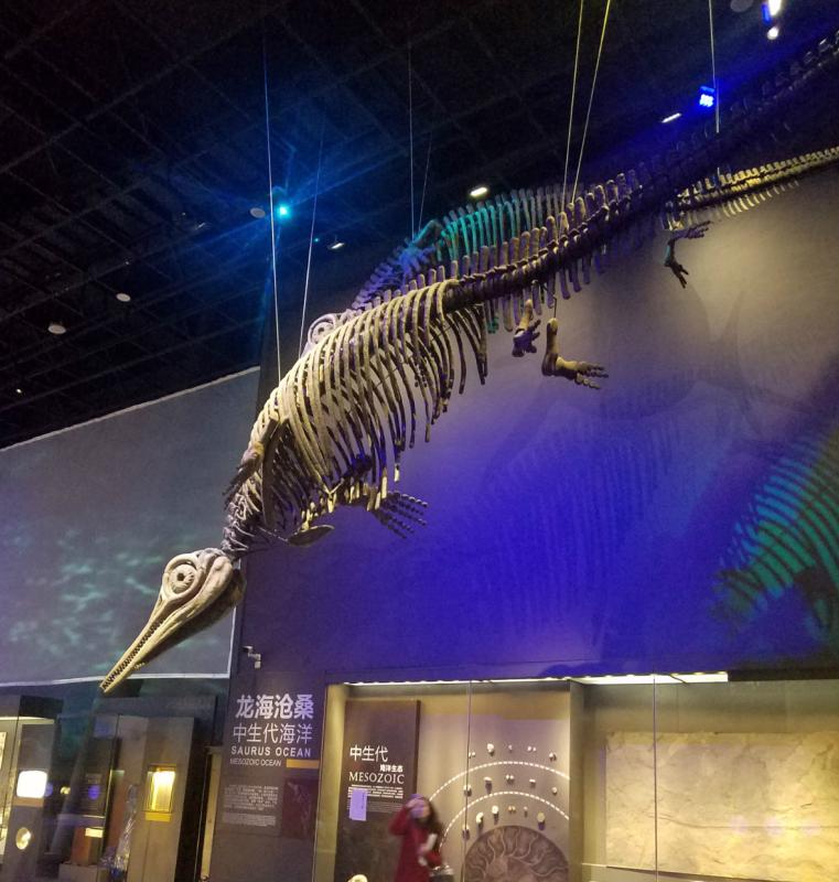 National Maritime Museum of China is expected to be open late this year. (Photo/chinadaily.com.cn)