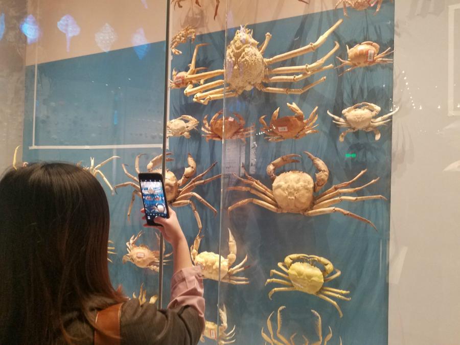 National Maritime Museum of China is expected to be open late this year. (Photo/chinadaily.com.cn)