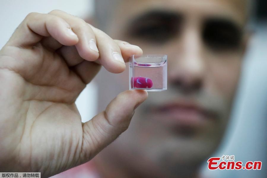 Professor Tal Dvir presents a 3D print of heart with human tissue at the University of Tel Aviv on April 15, 2019.  (Photo/Agencies)