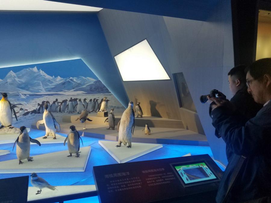 National Maritime Museum of China is expected to be open late this year. (Photo/chinadaily.com.cn)