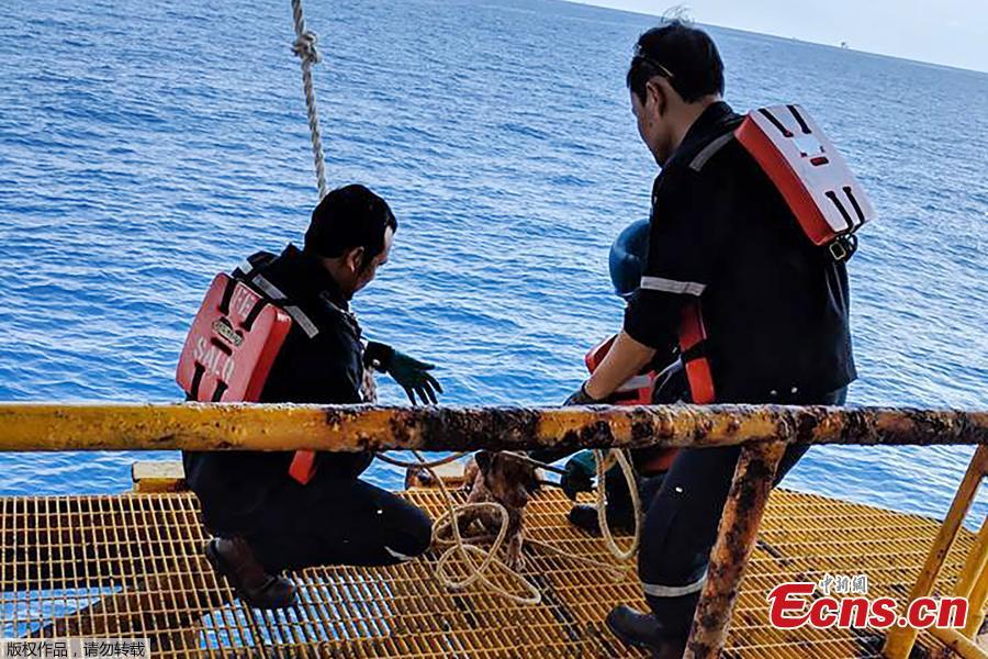 Workers from the Chevron Thailand Exploration and Production Ltd. oil rig rescued a dog swimming 137 miles offshore in the Gulf of Thailand, April 12, 2019. (Photo/Agencies)