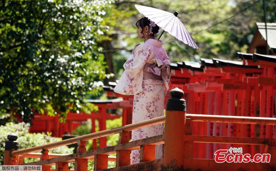 Photo shows a girl in kimono taking photos in azalea blossoms at Nezu Shrine, Tokyo, April 16, 2019. (Photo/Agencies)