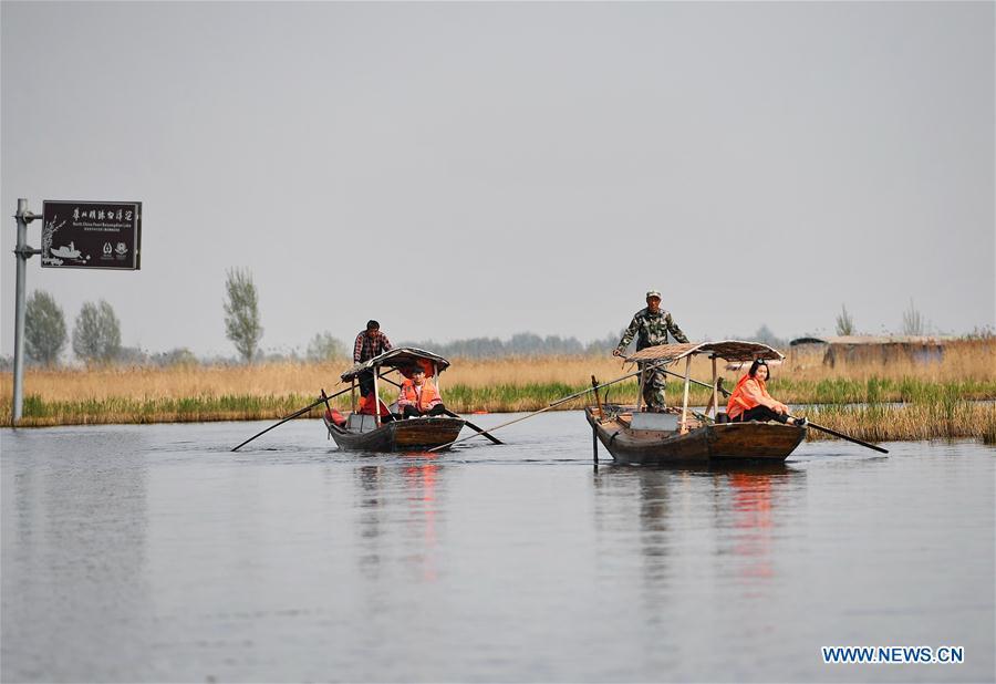 <?php echo strip_tags(addslashes(Tourists visit the Baiyangdian scenic area in Anxin County of Xiongan New Area, north China's Hebei Province, April 10, 2019. Restoration work has started in Baiyangdian Lake, northern China's largest freshwater body. High-pollution and energy-intensive production has been tackled. As a result, water quality has improved remarkably. (Xinhua/Mu Yu))) ?>