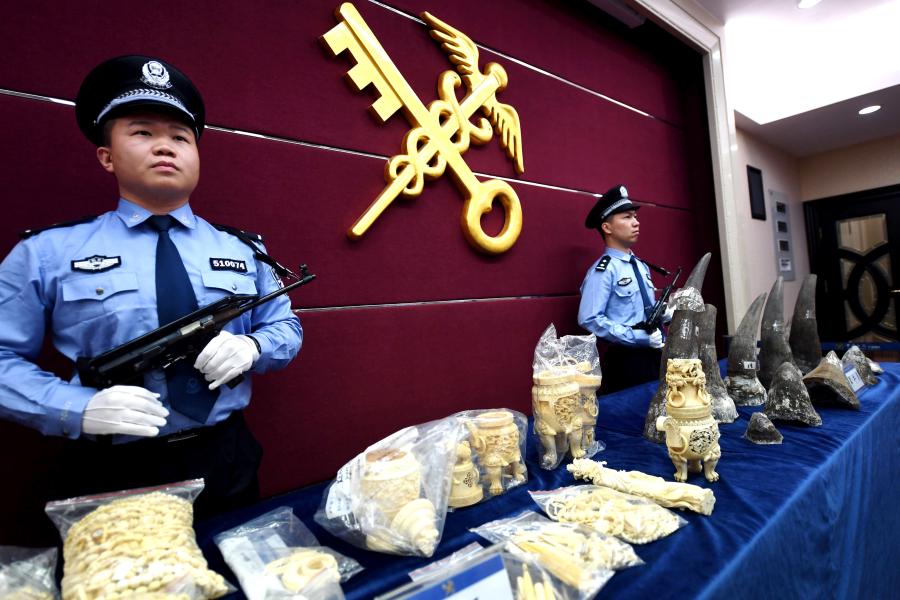 Guangzhou Customs holds a news conference in Guangzhou, Guangdong Province, April 18, 2019, showing items seized during anti-smuggling campaigns that began at the start of this year. They announced that 23 suspects and illegal wildlife products, such as ivory and rhinoceros horns, were caught in 111 anti-smuggling cases. Authorities took down a cross-border ring suspected of smuggling 333.8 kilograms of rhinoceros horns and detained seven suspects.  (Photo: China News Service/Ji Dong)
