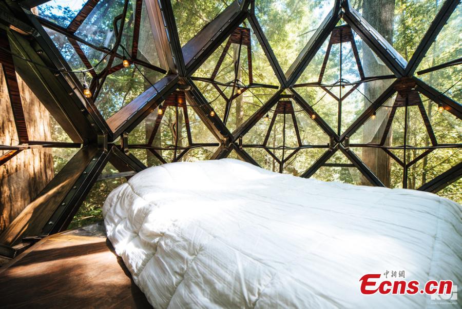 O2Treehouse, a company that built different treehouses, has listed the Pinecone Treehouse in Oakland, California, for sale. The 5.5-ton  geodesic cabin is constructed from steel, wood and glass. The sale price is around $150,000, but that doesn\'t include installation on your own property. (Photo/IC)