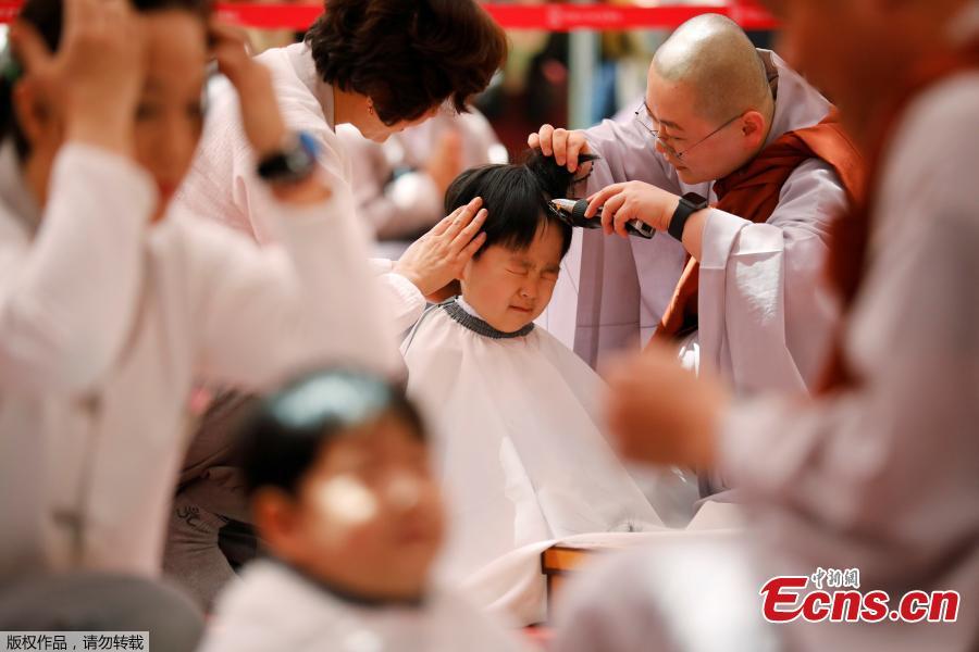 A boy has his hair shaved during the \'Children becoming Buddhist monks\' ceremony at the Jogyesa temple in Seoul, South Korea, April 22, 2019. South Korean Buddhists prepare to celebrate Buddha\'s upcoming birthday on May 12, 2019. (Photo/Agencies)