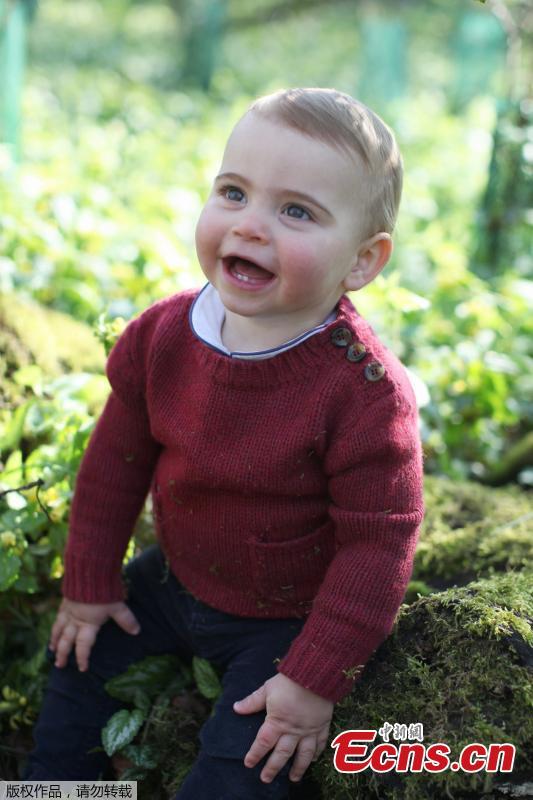 The photo released on April 22,2019 ,shows a rosy-cheeked and cheerful-looking Prince Louis having fun with the grass in the grounds of Anmer Hall, Norfolk, the family\'s country residence. (Photo/Agencies)
