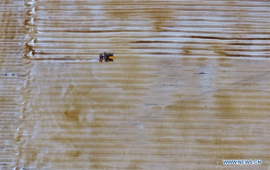 <?php echo strip_tags(addslashes(Aerial photo taken on April 22, 2019 shows crude salt is collected at the Daqinghe salt field in Tangshan City, north China's Hebei Province. Some 270,000 tons of salt is expected to be produced this spring at the Daqinghe salt field. (Xinhua/Yang Shiyao))) ?>