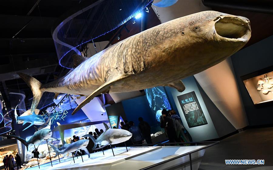 Photo taken on April 25, 2019 shows exhibits of maritime creatures at an exhibition hall themed \