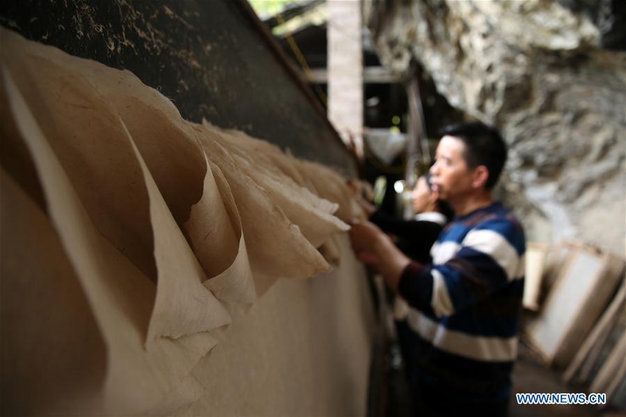 Wang Xingwu checks the dried paper at a workshop in Shiqiao Village of Danzhai County, southwest China\'s Guizhou Province, April 24, 2019. Wang Xingwu, 53, a national intangible cultural heritage inheritor in papermaking, learned the papermaking technique from his family as a child. Besides exerting the old papermaking technique to its full potential, Wang keeps raising product quality and improving the making procedure. With the involvement of plants in the papermaking process, he has created more than 160 kinds of patterned papers and paper crafts. He also develops a kind of handmade white paper more suitable for writing calligraphy and painting. (Xinhua/Huang Xiaohai)
