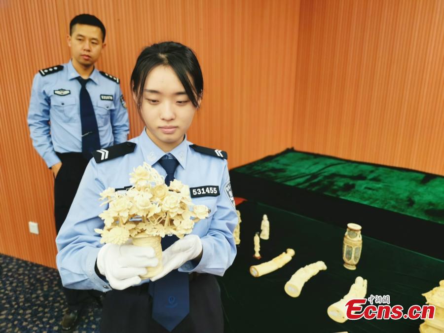 Shenzhen Customs shows items seized during coordinated anti-smuggling campaigns in Shenzhen, Wuxi and Shanghai, during a news conference in Shenzhen, Guangdong province, April 25, 2019. Authorities seized 10 suspects and illegal wildlife products weighing 209 kilograms, such as ivory and rhinoceros horns. (Photo: China News Service/Chen Wen)