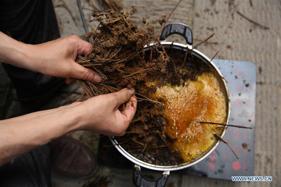 Wang Xingwu, a papermaker, makes dyestuff from plants at a workshop in Shiqiao Village of Danzhai County, southwest China\'s Guizhou Province, April 24, 2019. Wang Xingwu, 53, a national intangible cultural heritage inheritor in papermaking, learned the papermaking technique from his family as a child. Besides exerting the old papermaking technique to its full potential, Wang keeps raising product quality and improving the making procedure. With the involvement of plants in the papermaking process, he has created more than 160 kinds of patterned papers and paper crafts. He also develops a kind of handmade white paper more suitable for writing calligraphy and painting. (Xinhua/Huang Xiaohai)