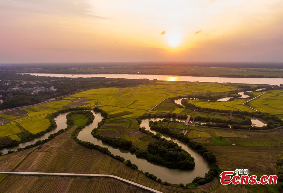 <?php echo strip_tags(addslashes(Aerial view shows the Sanshiliuquxi (36-bend stream) wetland in Yunlong Town, Haikou City, Hainan Province, April 28, 2019. Known for its rich flora and fauna as well as river bends, the wetland park will cover an area of 316.7 hectares, according to plans. (Photo: China News Service/Luo Yunfei))) ?>