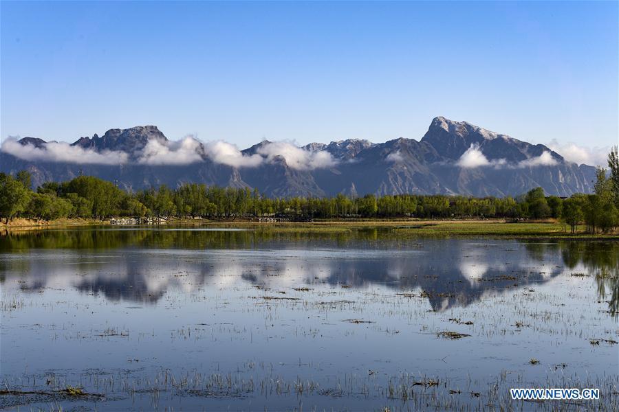 <?php echo strip_tags(addslashes(Photo taken on April 25, 2019 shows the scenery of Guishui River in Yanqing District of Beijing, capital of China. The International Horticultural Exhibition 2019 Beijing, the largest expo of its kind in the world, opened to the public Monday in Yanqing District. Yanqing boasts itself as being home to parts of the Great Wall. It is a summer resort and the agricultural base of Beijing. The upgrading of infrastructure and the acceleration of the horticulture industry because of the expo can further stimulate the development of tourism in Yanqing. (Xinhua/Liu Guifu))) ?>