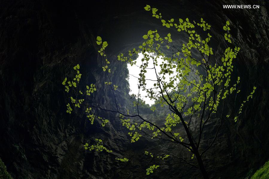 <?php echo strip_tags(addslashes(Photo taken on May 3, 2019 shows a sprouting tree at the bottom of the Luoquanyan sinkhole, which measures 290 meters in depth, in Xuan'en County, central China's Hubei Province. (Xinhua/Song Wen))) ?>