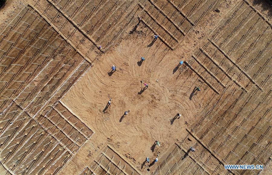 Aerial photo taken on May 2, 2019 shows workers planting trees at the site of ecological restoration project on Jinling iron mine in Caiyuan Township of Qian\'an City, north China\'s Hebei Province. Local government has devoted to the reclamation and afforestation of mine areas in recent years. (Xinhua/Yang Shiyao)