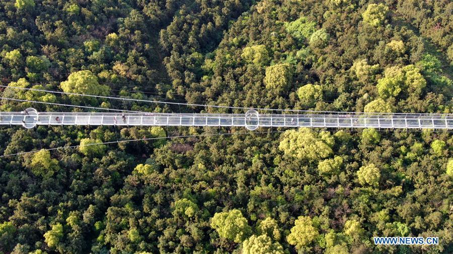 <?php echo strip_tags(addslashes(Aerial photo taken on May 4, 2019 shows tourists walking on a glass bridge at the Huaxi World Adventure Park in Huaxi Village of Jiangyin City, east China's Jiangsu Province. The 518-meter-long glass bridge hangs more than 100 meters above ground level at the park. It is made of panes of 35-mm-thick glass. Each glass can hold a maximum weight of 4.7 tonnes. Around 2,600 people can cross the bridge at a time. (Xinhua/Xu Congjun))) ?>
