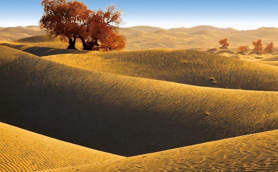 The Taklimakan desert in Xinjiang Uygur autonomous region. (Photo provided to chinadaily.com.cn)