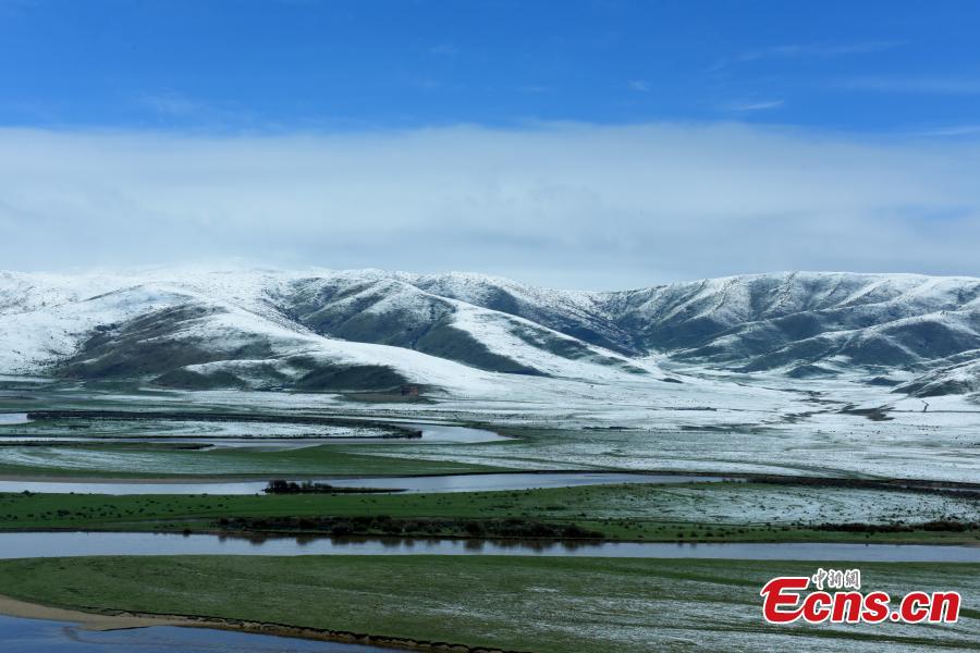 <?php echo strip_tags(addslashes(Snow covers the Hongyuan Prairie in Ngawa Tibetan and Qiang Autonomous Prefecture, Southwest China's Sichuan Province, May 7, 2019, after a cold front hit. The vast grassland is a tourist attraction in the province. (Photo: China News Service/Mou Jinghong))) ?>