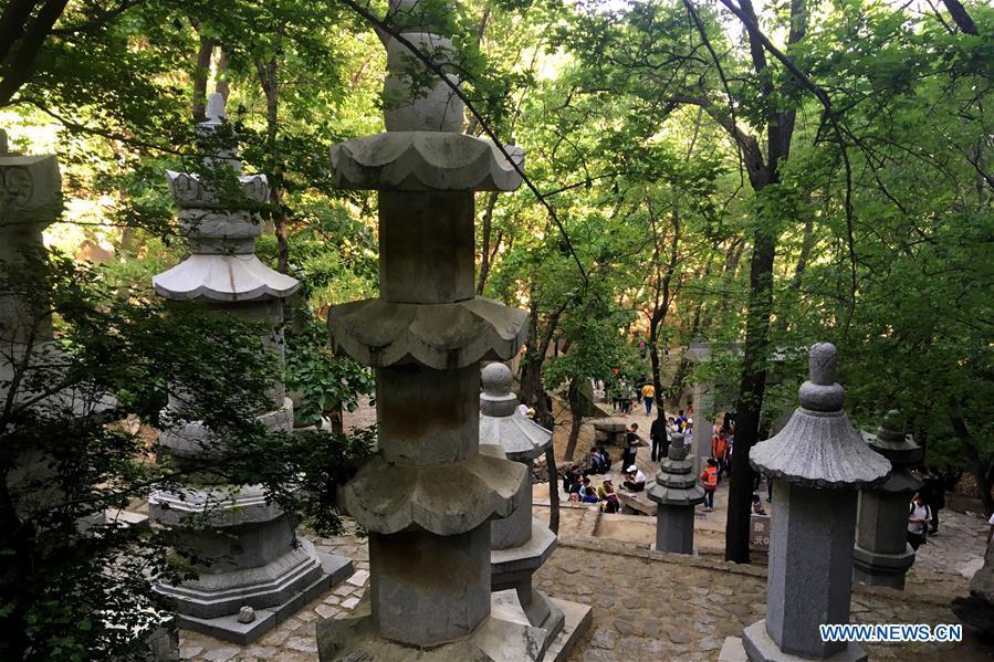 Tourists visit Panshan Mountain scenic zone in Jizhou District of Tianjin, north China, May 2, 2019. May 5 marks the opening of \