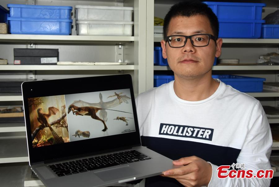<?php echo strip_tags(addslashes(Photo shows the life reconstruction of the bizarre membranous-winged Ambopteryx longibrachium, May 9, 2019.  (Photo/China News Service: Sun Zifa))) ?>